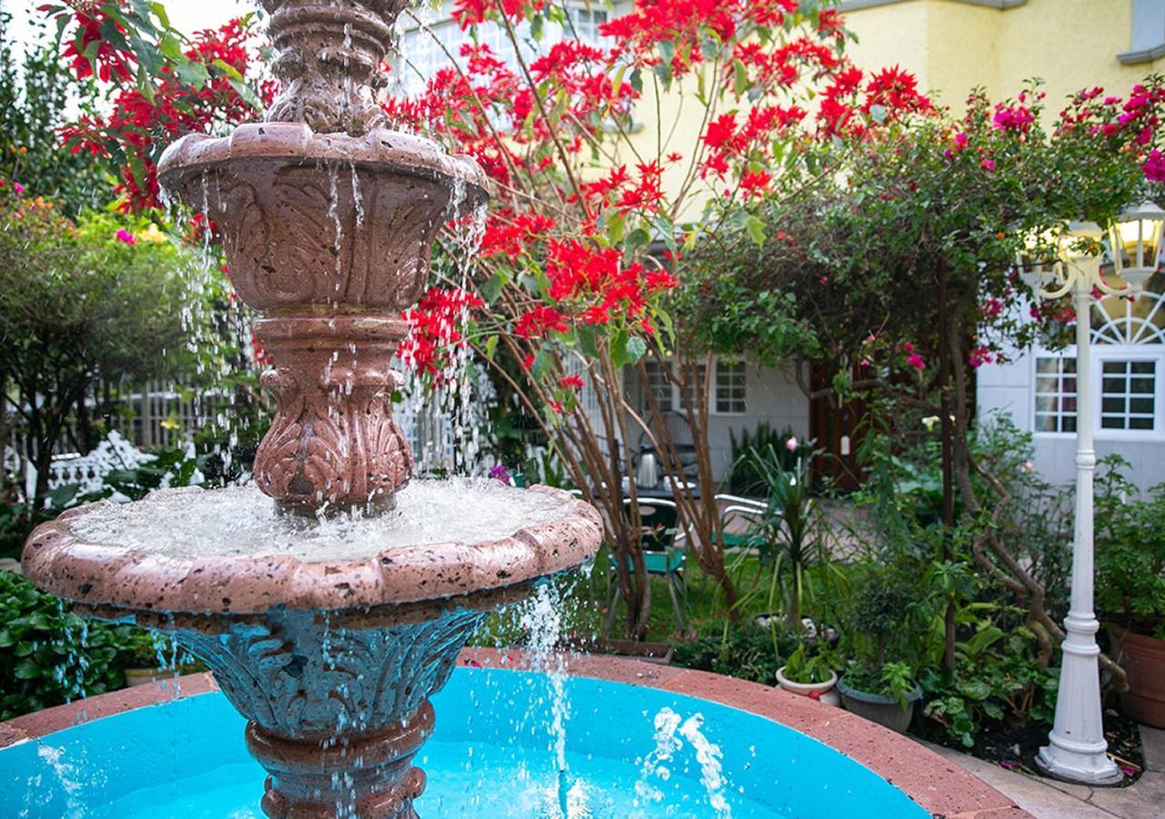 Casa San Pedro Bed & Breakfast Meksika Dış mekan fotoğraf