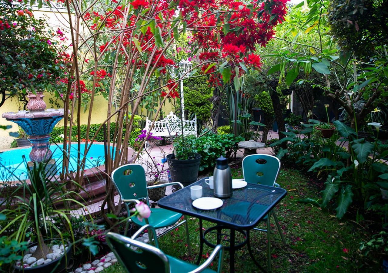 Casa San Pedro Bed & Breakfast Meksika Dış mekan fotoğraf