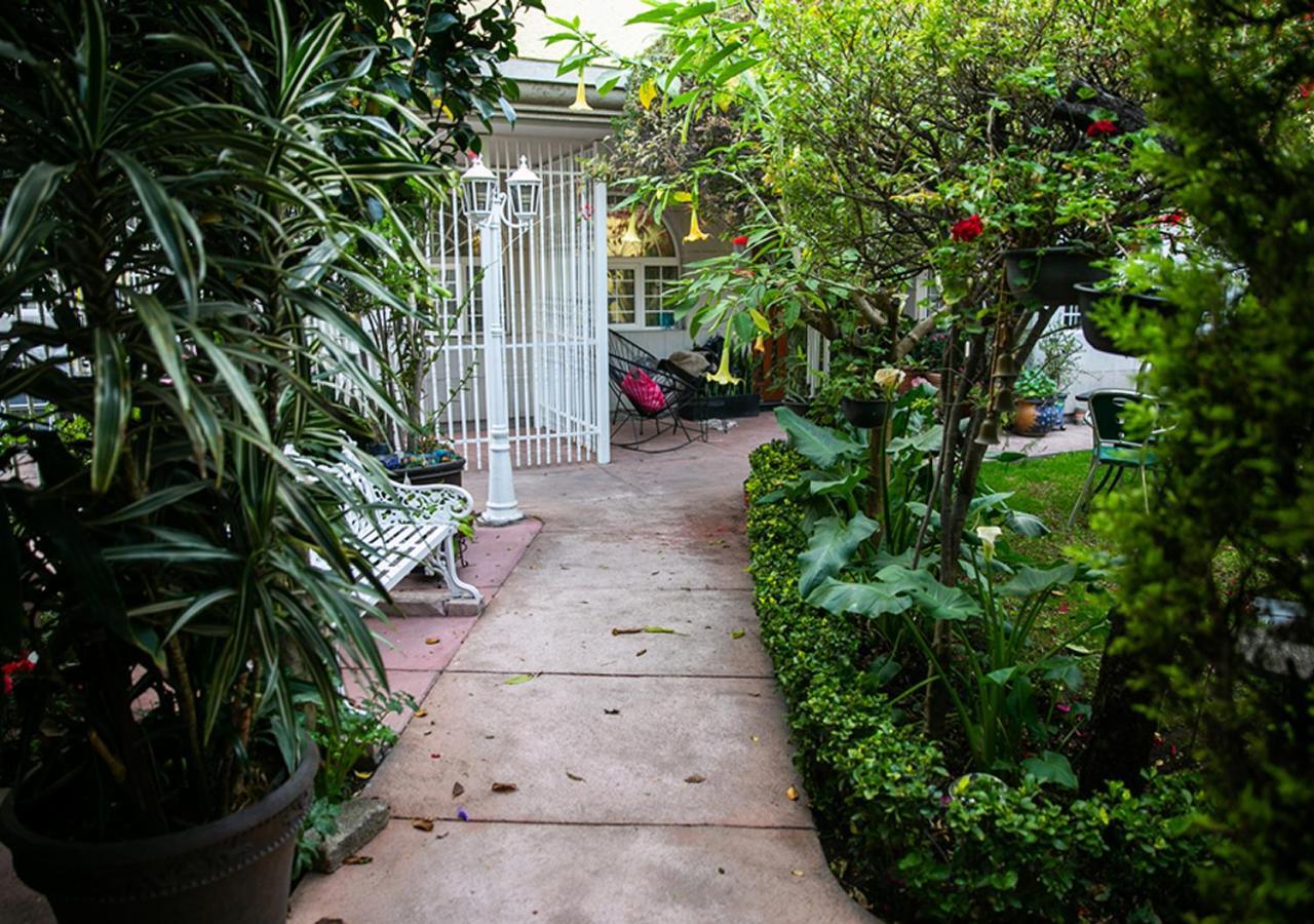 Casa San Pedro Bed & Breakfast Meksika Dış mekan fotoğraf