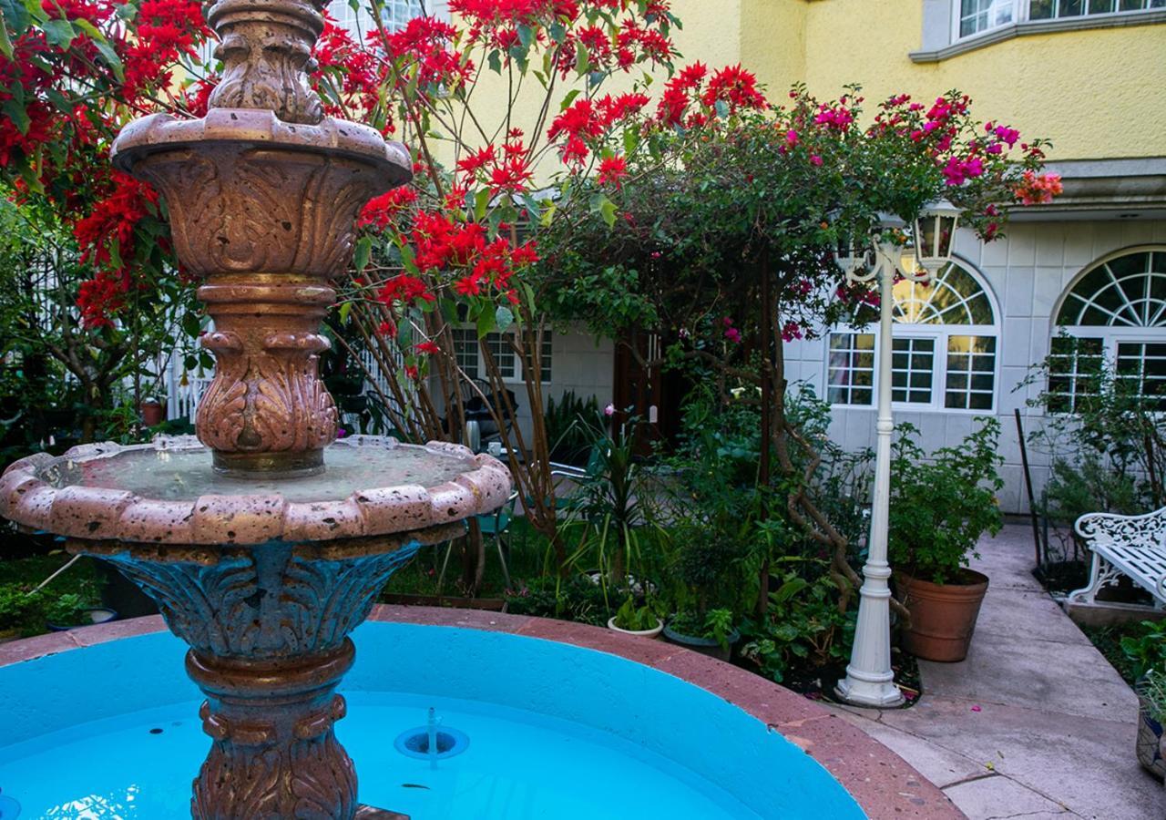 Casa San Pedro Bed & Breakfast Meksika Dış mekan fotoğraf
