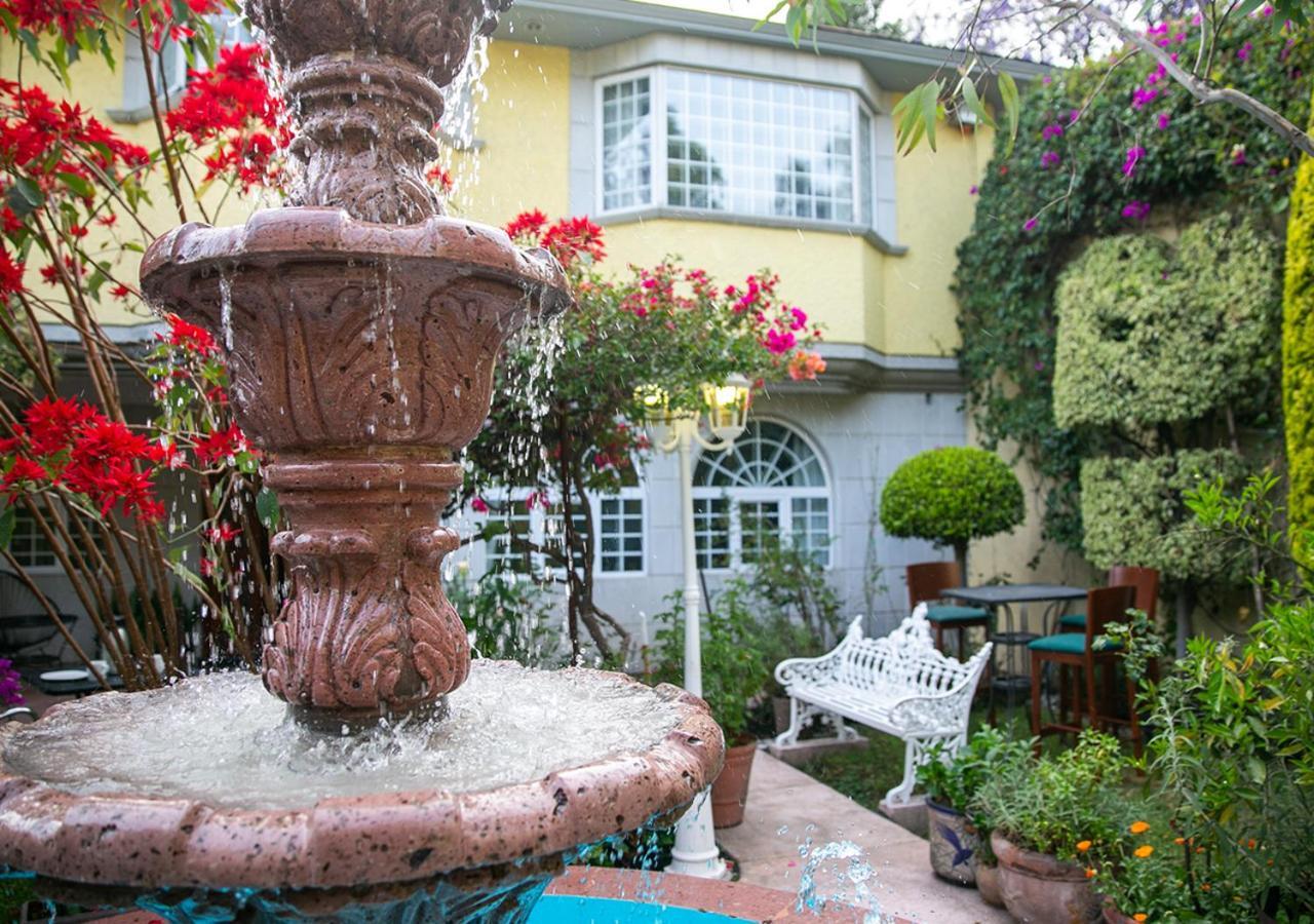 Casa San Pedro Bed & Breakfast Meksika Dış mekan fotoğraf